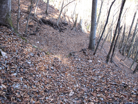 20161206hike (357)